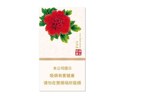 漯河哪里有批发香烟的_漯河哪里有批发香烟的地方
